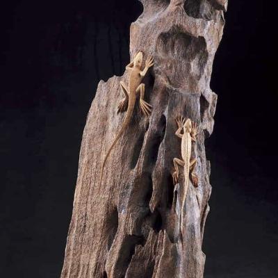 S022 66x20x18cm 