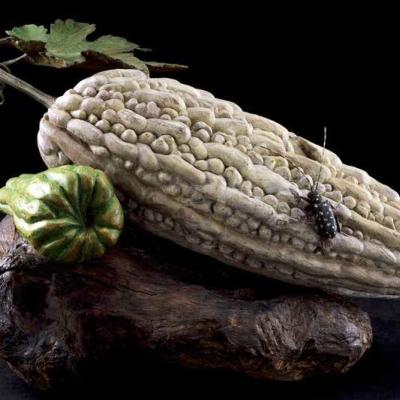 蔬菜系列