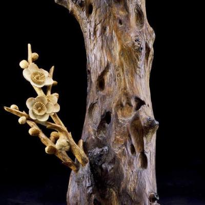T008 43x27x17cm 