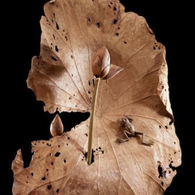 S016 82x54x23cm 2006