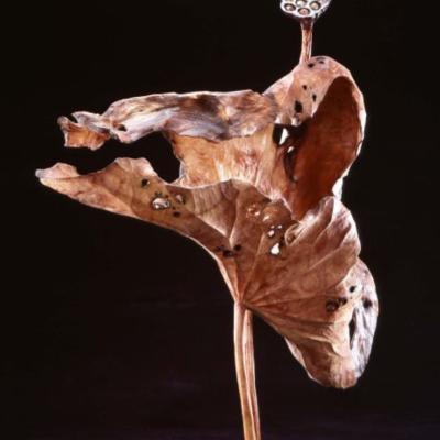S023 66x42x20cm 2008
