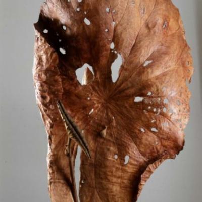 S024 122x88x21cm 2006