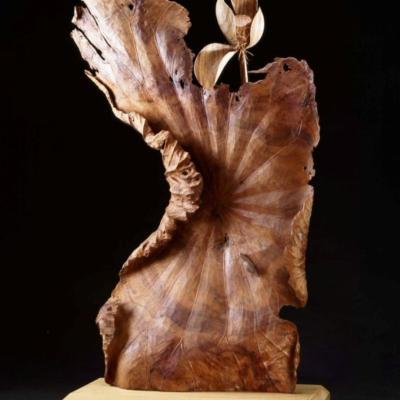 S025 80x47x26cm 2005